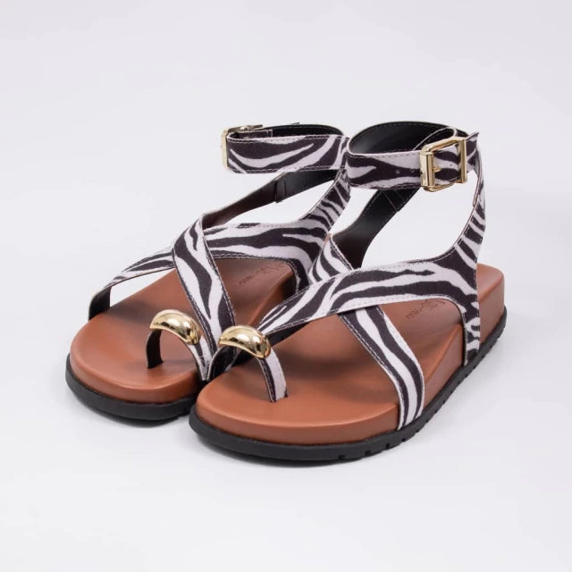 831-1416-ZEBRA-36
